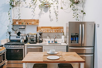 Contemporary kitchen interior featuring stainless steel appliances and hanging plants. HD wallpaper