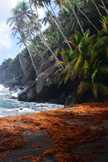 Abujvisuals, island, graphy, nature HD phone wallpaper