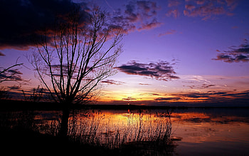 Nature, Sunset, Sky, Clouds, Wood, Tree, Outlines, Weightless HD wallpaper