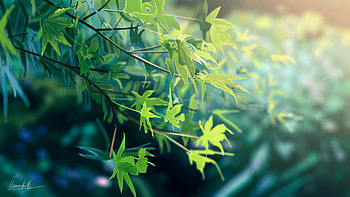 Nature, Anime HD wallpaper