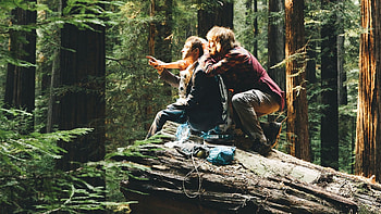 Swiss Army Man, Backdrops, The Movie Database HD wallpaper