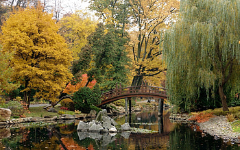 Nature, Stones, Bridge, Pond, Serenity, Willow HD wallpaper