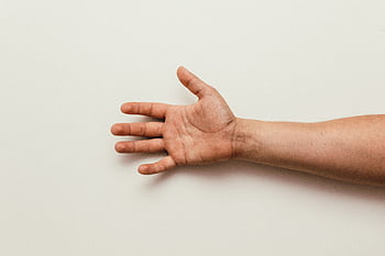 An outstretched human hand with open palm isolated on a plain white background. HD wallpaper