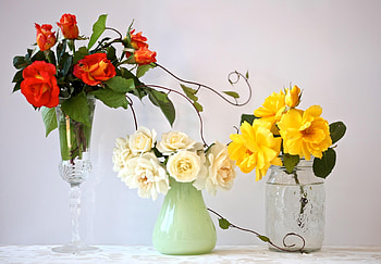 Flowers, Roses, Bouquets, Three, Fougere, Tall Wine Glass, Different, Vases HD wallpaper