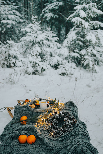 Winter, Food, Snow, Forest, Christmas, Mood, Coziness, Comfort, Picnic HD phone wallpaper