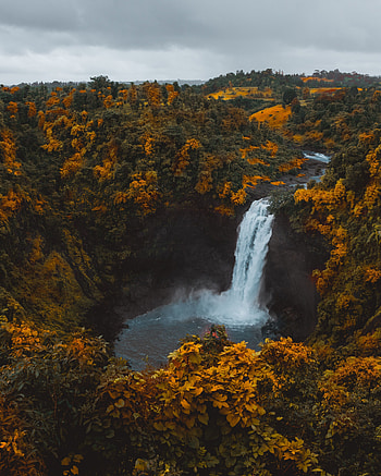 Dabhosa Waterfalls, trees, forest, stream, nature HD phone wallpaper