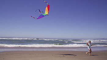 Kite Sports, Beach adventure, Joyful girl flying kite, Coastal serenity HD wallpaper