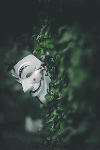 Leaves, Bush, Plant, Miscellanea, Miscellaneous, Mask HD phone wallpaper