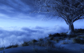 Landscape, Trees, Clouds HD wallpaper