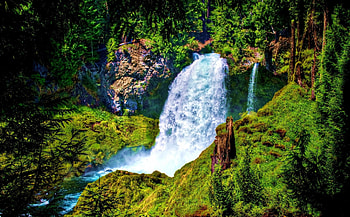 Waterfall, Rocks, Forest, Narure HD wallpaper