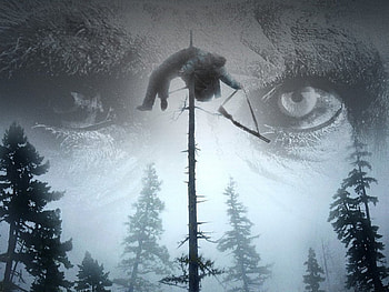 Bigfoot: The Lost Coast Tapes, BIGFOOT, DOC, LOST TAPES, FOUND HD wallpaper