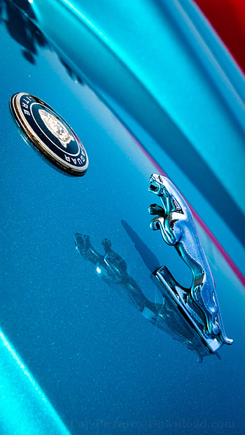 Jaguar Logo, Exquisite car, High-quality , Automotive beauty HD phone wallpaper