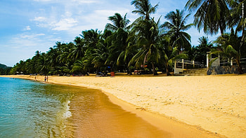 Wonderful place for weekend, sea, beautiful, tree, beach HD wallpaper