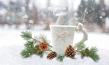 Enjoy your hot cocoa! :), cup, craciun, christmas, white, green, card HD wallpaper