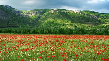 Bulgaria, Scenic , Natural wonders, que landscapes HD wallpaper