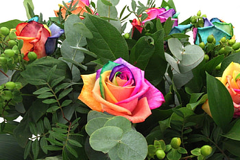 Flowers, Roses, Multicolored, Greens, Bouquet HD wallpaper
