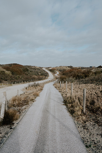 Landscape, Nature, Road, Hills, Winding, Sinuous HD phone wallpaper