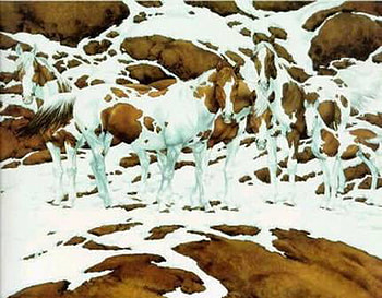 HOW MANY HORSES, horses, brown, white, five HD wallpaper
