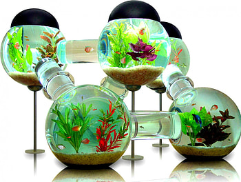 Fish tank, art, tropical, , cool, tank, water HD wallpaper