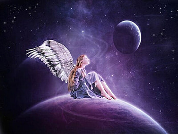 divinity, fairy, wings, moon HD wallpaper