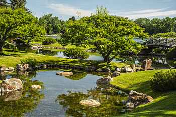 Landscape, Nature, Water, Trees, Grass, Stones, Basin HD wallpaper