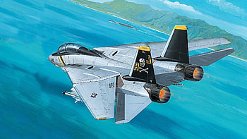 2017-03-13 - grumman f 14 tomcat for HD wallpaper