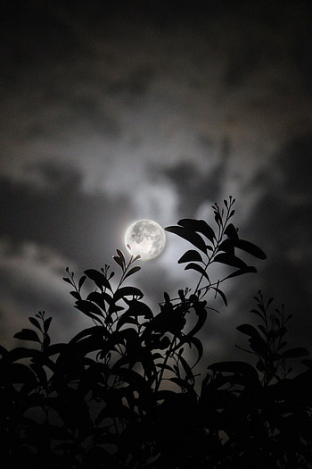 Moon, cloud, sky, moonsee, nightsky HD phone wallpaper