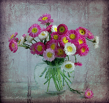 Colour Me Spring, bouquet, stems, whites, floral, soft, vase, spring, background, pretty, pinks, bright, glass, bold, flowers, water, cut HD wallpaper