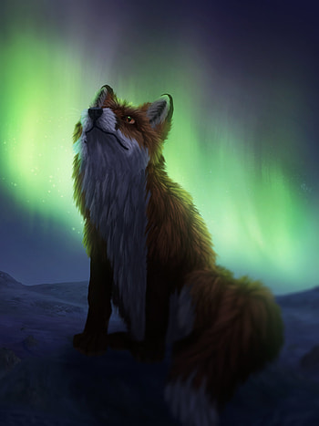 Art, Night, Fox, Dark, Northern Lights, Aurora Borealis HD phone wallpaper