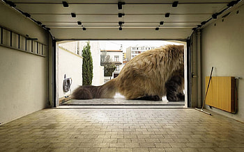 Giant cat, animal, situation, cat, tail, pisica, creative, fantasy, garrage, giant HD wallpaper