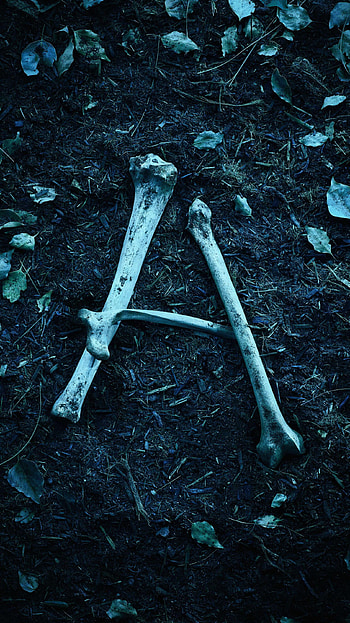 Ozark (2022) movie HD phone wallpaper