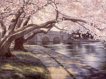 In the spring, colorful, color, beautiful, spring, tree, park, pink, painting, violet, bridge, splendor, water, lovely HD wallpaper