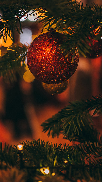 Christmas toy tree, Festive , Merry Christmas, Holiday joy HD phone wallpaper