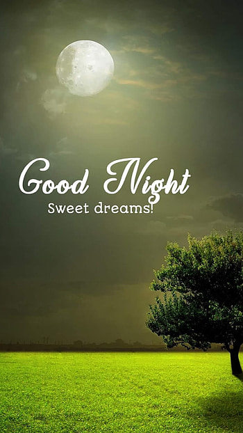 Good Night, Full Moon HD phone wallpaper