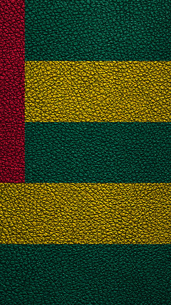 Flag of Togo, African nation, Leather texture HD phone wallpaper