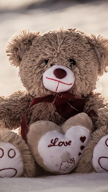 Teddy Bear Love, Teddy Bear HD phone wallpaper