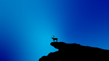 Reindeer Blue Minimal , reindeer, minimalism, minimalist, artist, artwork, digital-art HD wallpaper