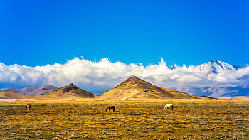 China northern Tibet, Pastures field hills, Snow blue sky, Kde store HD wallpaper