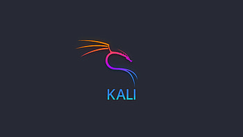 Kali Linux , kali-linux, linux, computer HD wallpaper