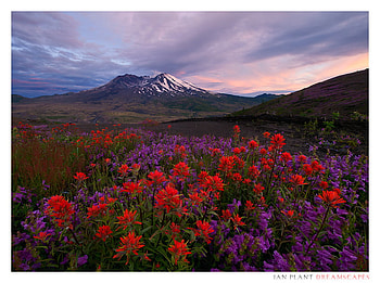 explosion, field, landscape, clouds, colors, sky, nature, flowers, mountain HD wallpaper