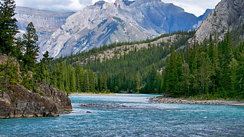 bow river in the rockies of alberta, river, mountains, forest, rocks HD wallpaper