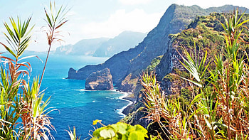 Madeira travels, The Portuguese island, Eternal spring, Primavera HD wallpaper