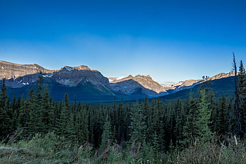 Nature, Trees, Sky, Rocks, Spruce, Fir HD wallpaper