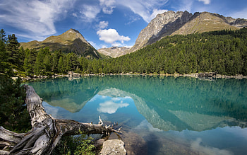 South Island, New Zealand, Reflection HD wallpaper