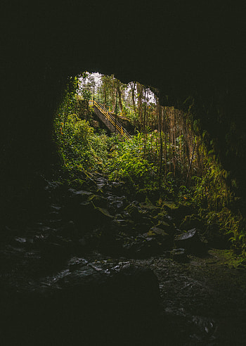 Nature, Rock, Dark, Ladder, Stairs, Cave HD phone wallpaper