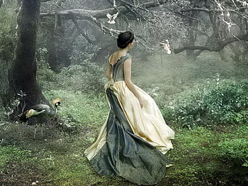 Lost in forest, birds, fantasy, lost, girl, forest HD wallpaper