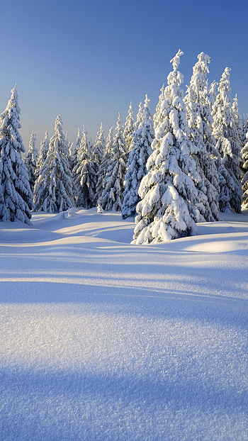 Winter Background, Cool HD phone wallpaper