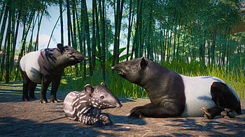Planet Zoo, Southeast Asia animal pack, Available, Game HD wallpaper