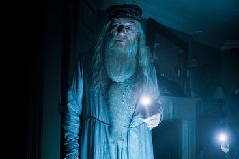 Dumbledore, Michael Gambon, Harry Potter, Hogwarts HD wallpaper