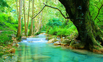 Emerald Falls, Mexico, creek, green, trees, waterfalls, beautiful, Chuveje, foliage HD wallpaper